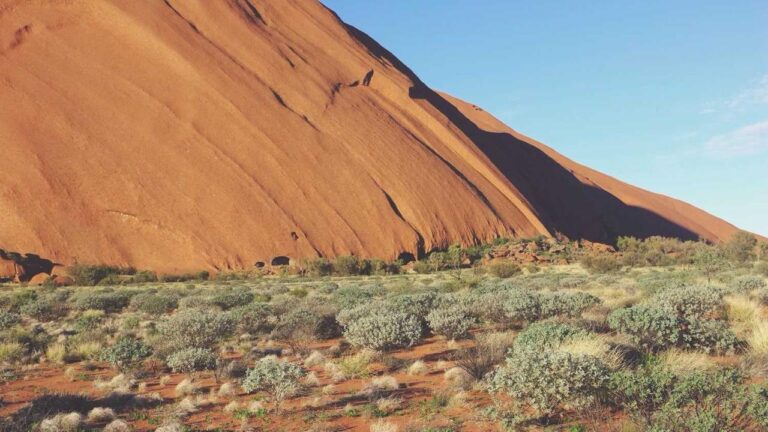 How To Redeem An 11Xplay Bonus Coupon Code?